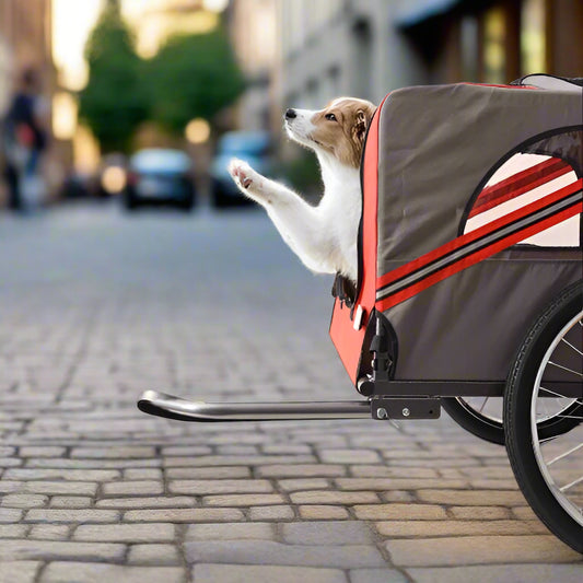 Dog in a red and gray pet bike trailer on a white background